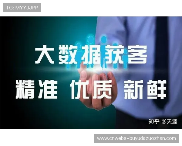 精准投放系统优化，提高广告转化效率